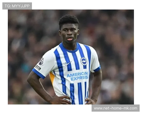 巴莱巴与主帅争执：足球场上的火花与深意